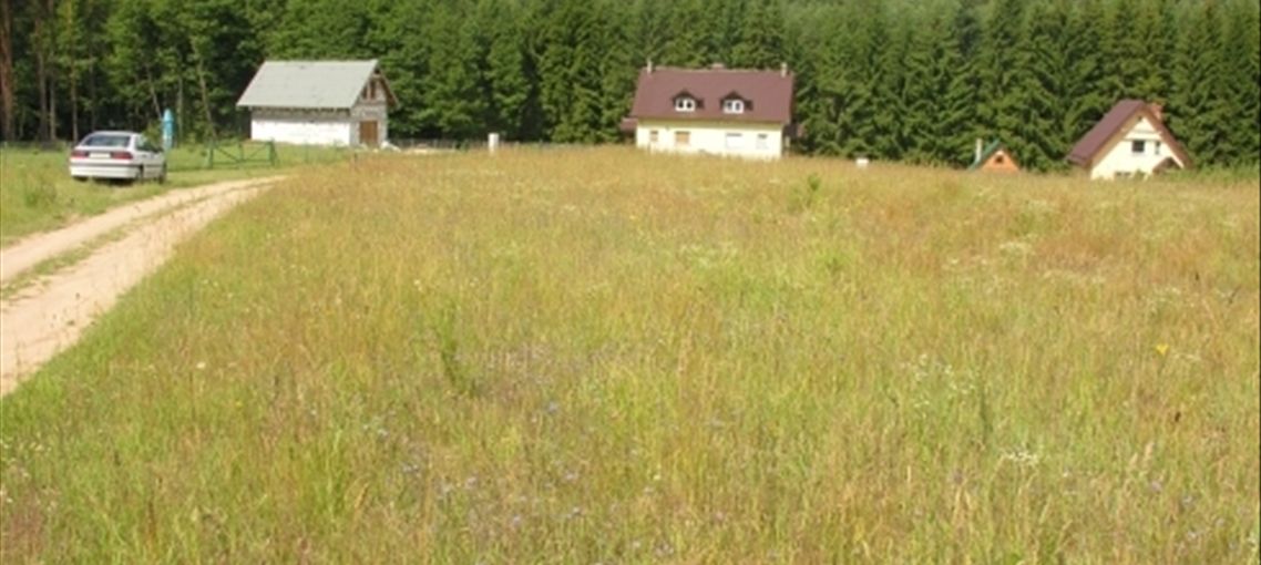 Dzwierzuty Part 198-22 02