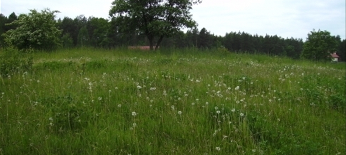 Stare Juchy Part 1-32 02